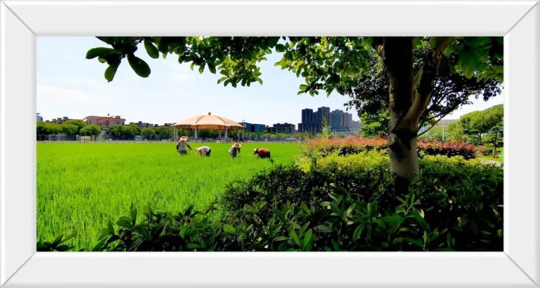 304am永利集团官网(中国)有限公司-Official Website