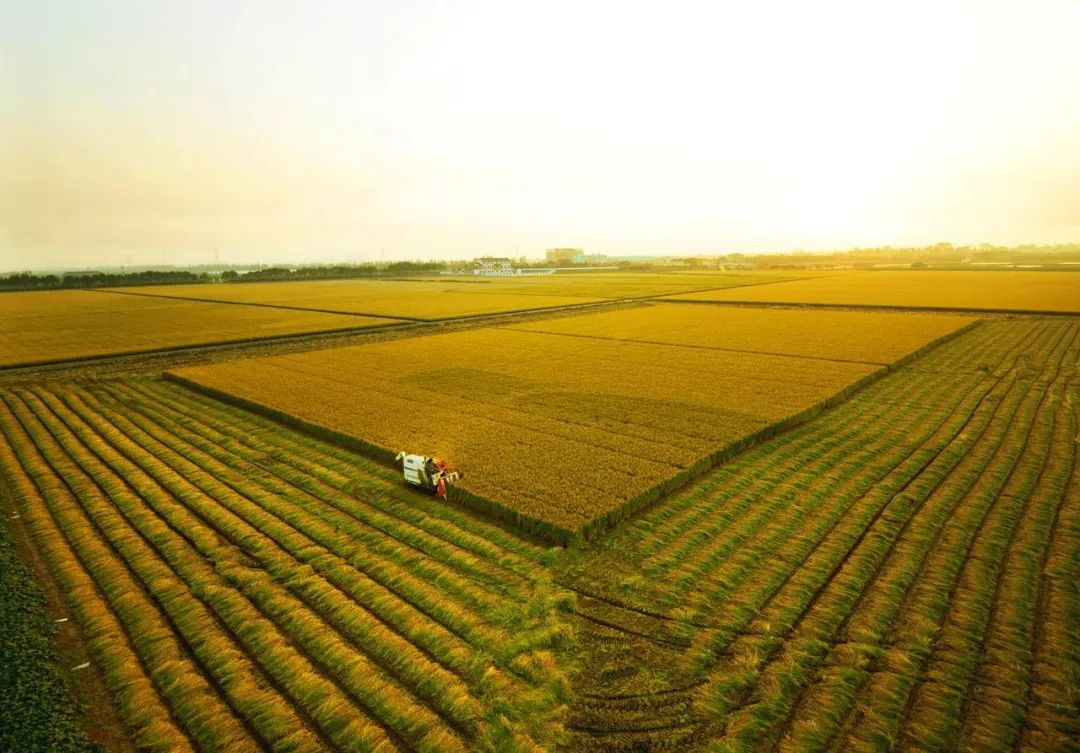 304am永利集团官网(中国)有限公司-Official Website